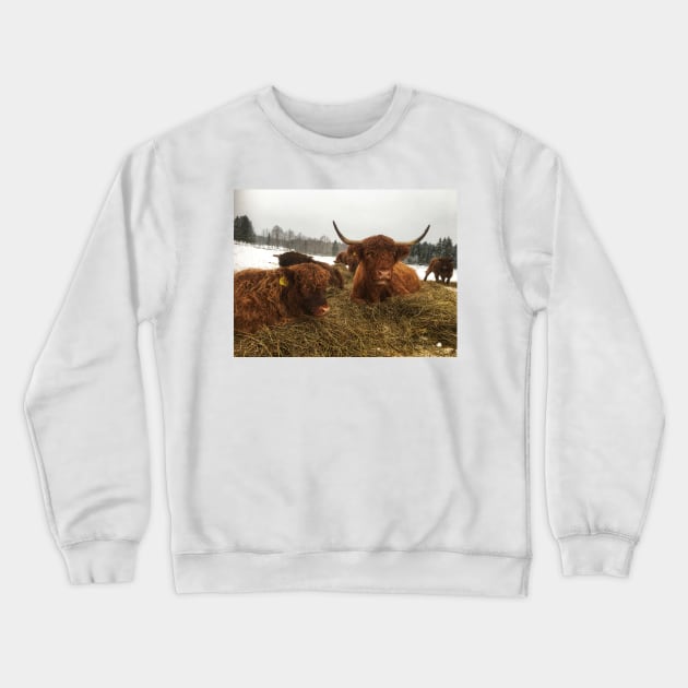 Scottish Highland Cattle Cow and Calf 1863 Crewneck Sweatshirt by SaarelaHighland